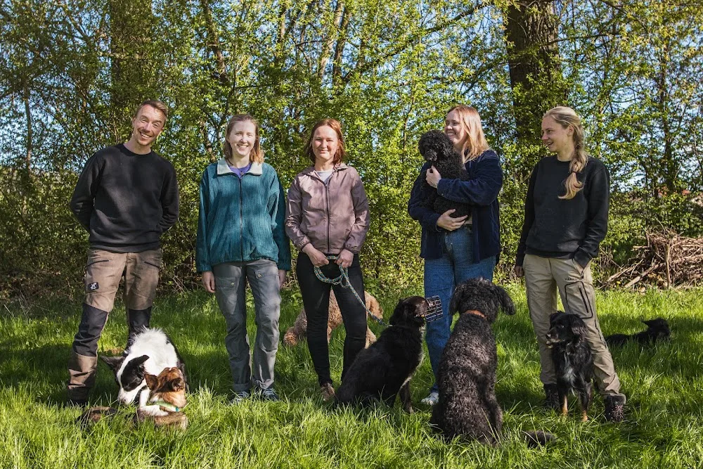 Rumtreiber Hundetraining - Hundeschule und Hundepension - Buttstädt pet otel görseli 2
