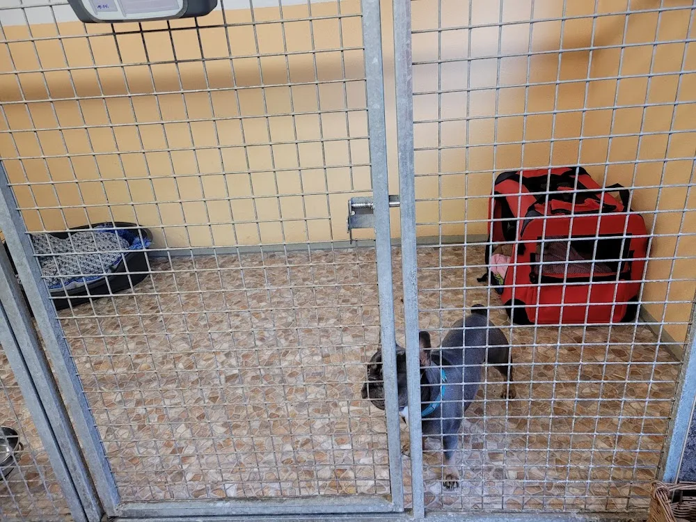 Tierpension Haustierranch zur Mittelmühle - Buttstädt pet otel görseli 10
