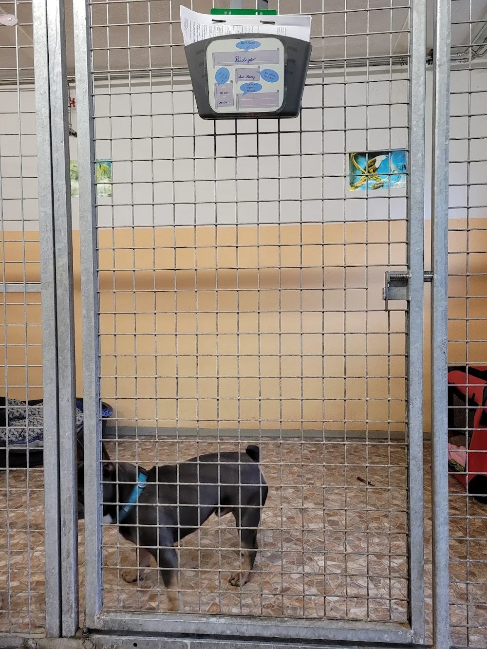 Tierpension Haustierranch zur Mittelmühle - Buttstädt pet otel görseli 11