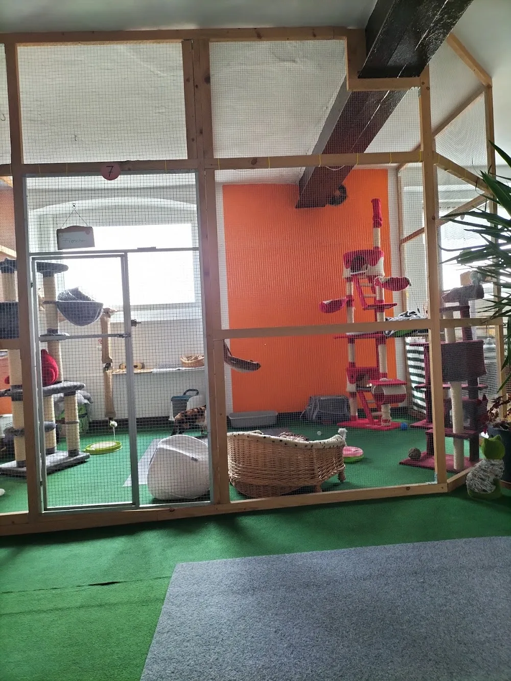 "Tierpension Mon Plaisir" Inh. Sylke Mönch - Buttstädt pet otel görseli 7
