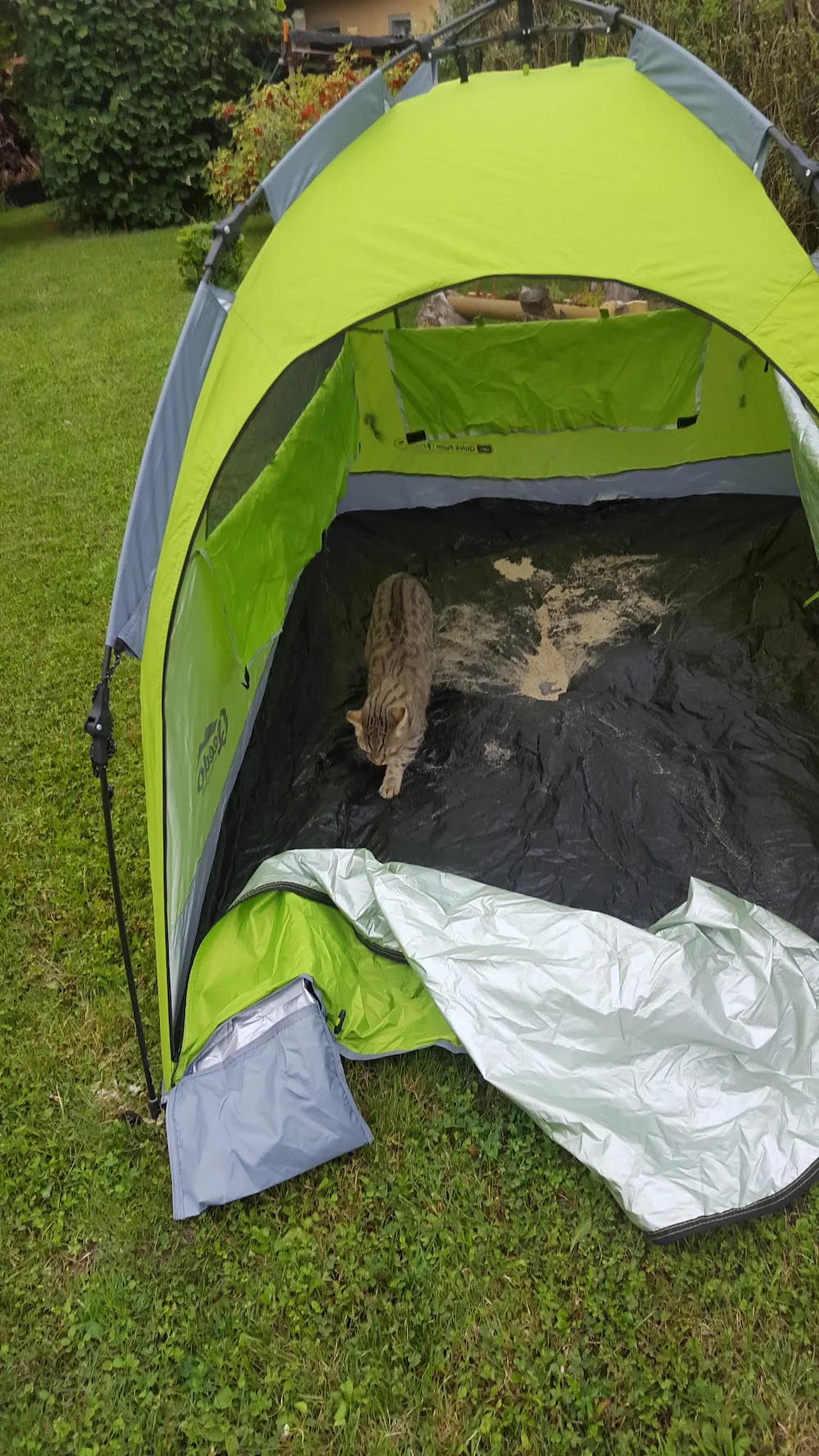 Tierpension Salfer - Buttstädt pet otel görseli 2