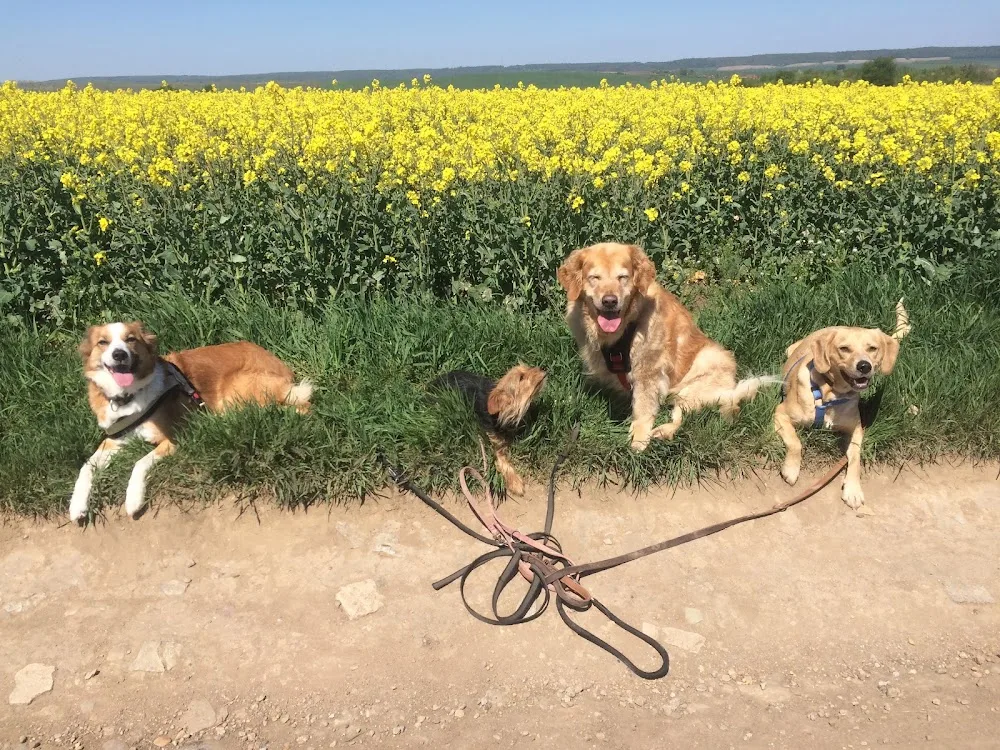 Tierzentrum Rudersdorf - Buttstädt pet otel görseli 3