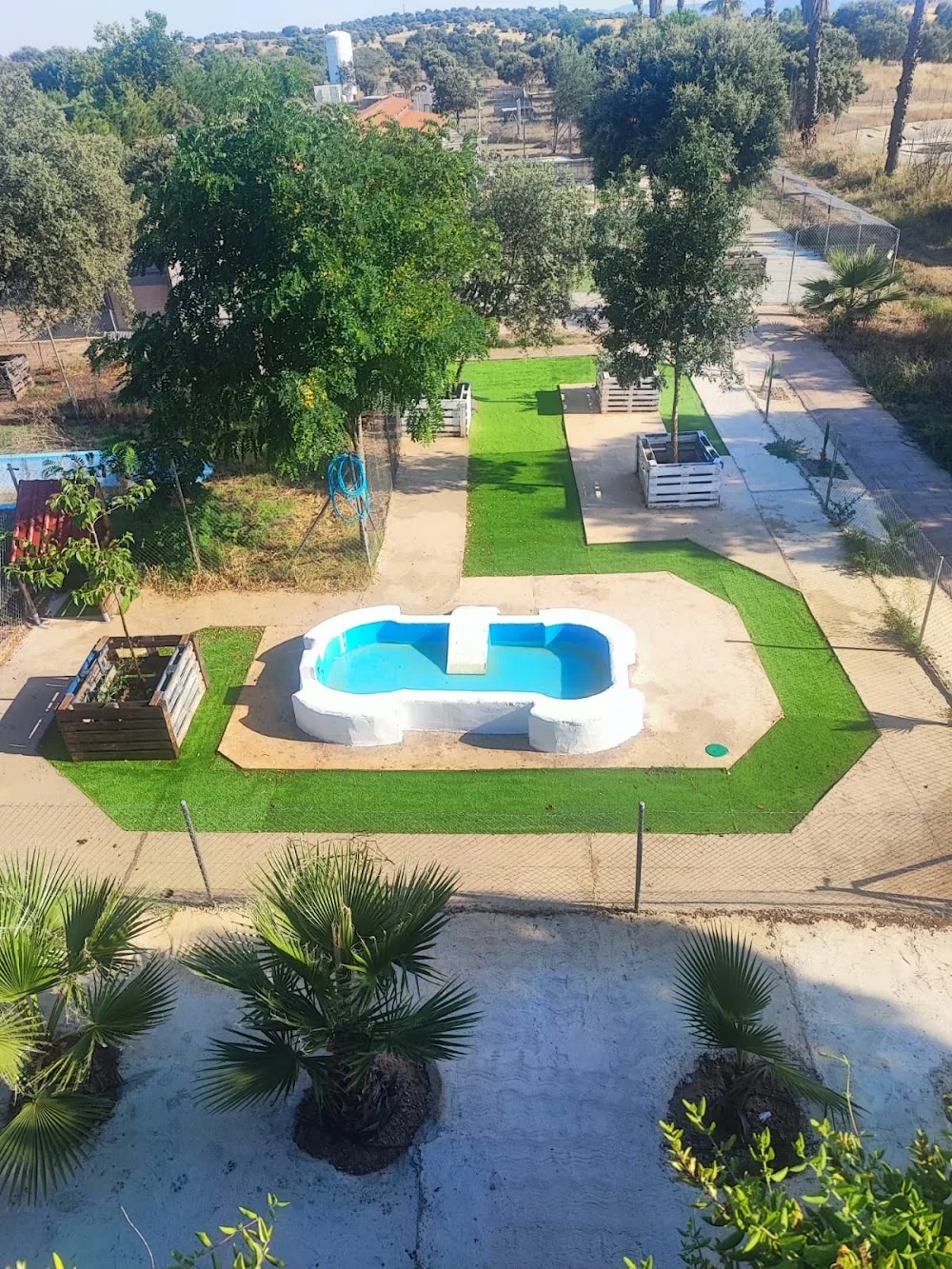 Club/Hotel canino Mascout - Caceres pet otel