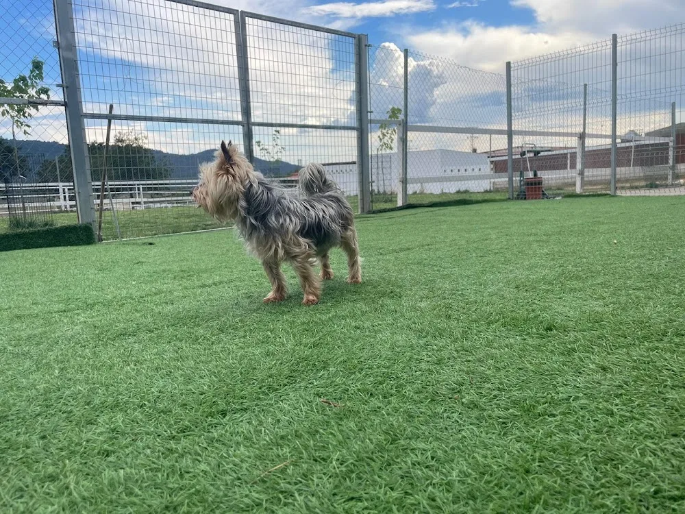 El Salto Hotel Canino - Caceres pet otel