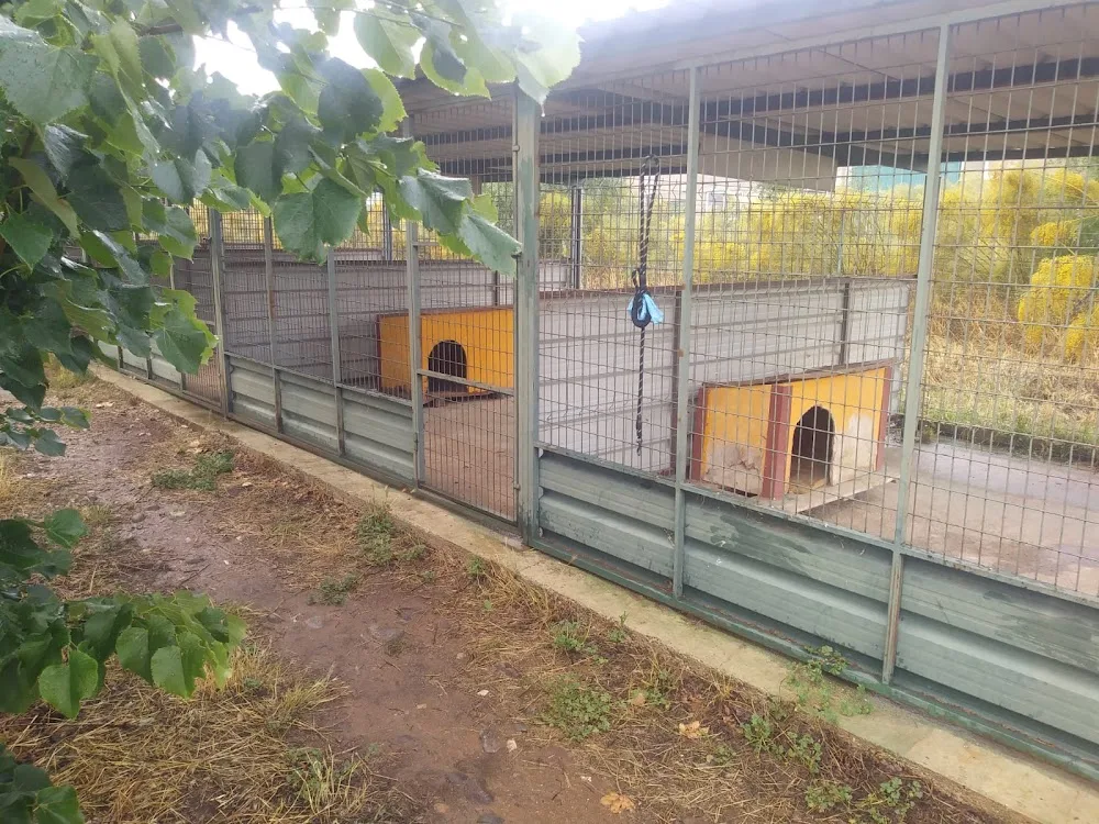 Residencia Canina Ambroz - Caceres pet otel