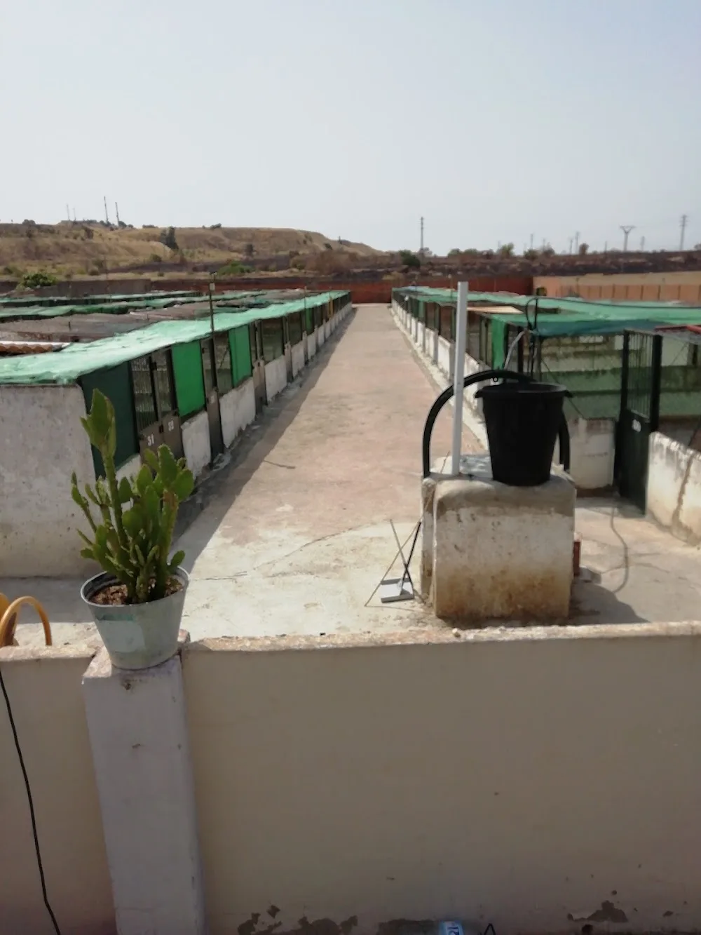 Residencia Canina Juan Alfonso García - Caceres pet otel görseli 6
