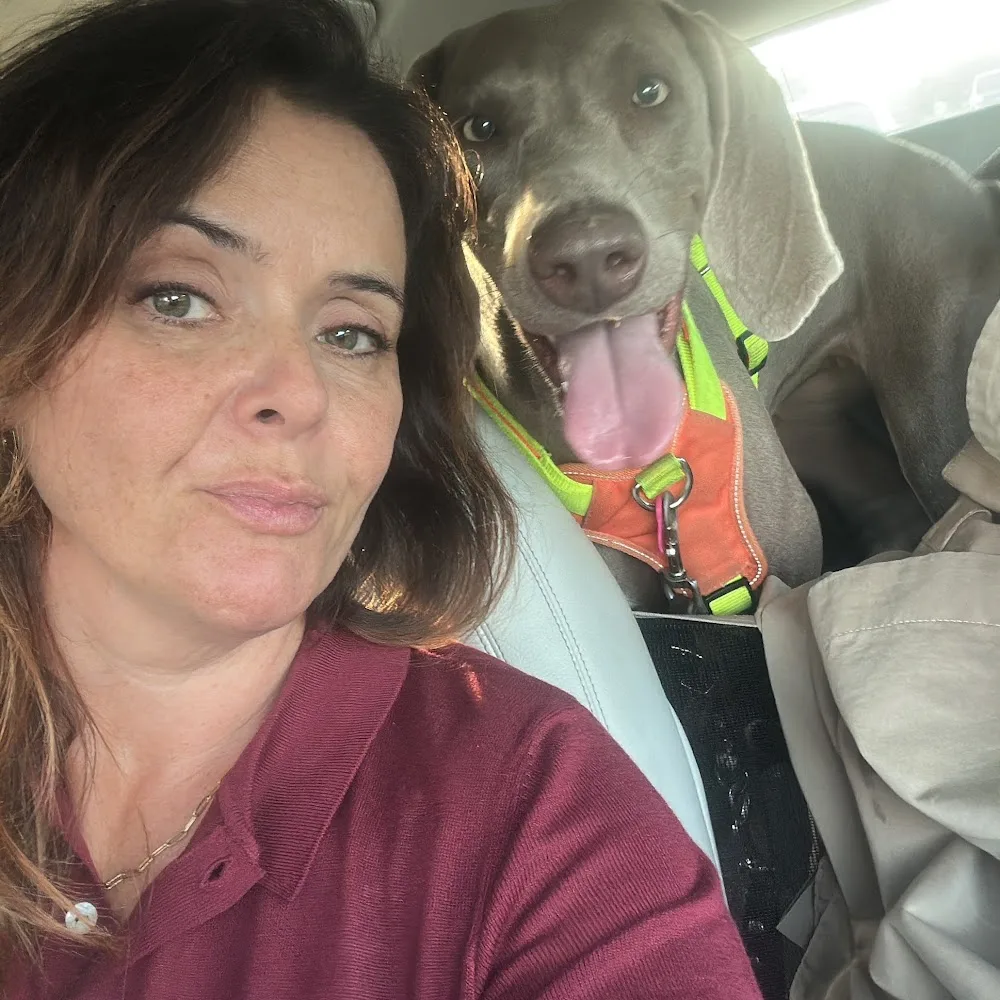 SocialDog - Residencia y Adiestramiento Canino - Cádiz pet otel görseli 5
