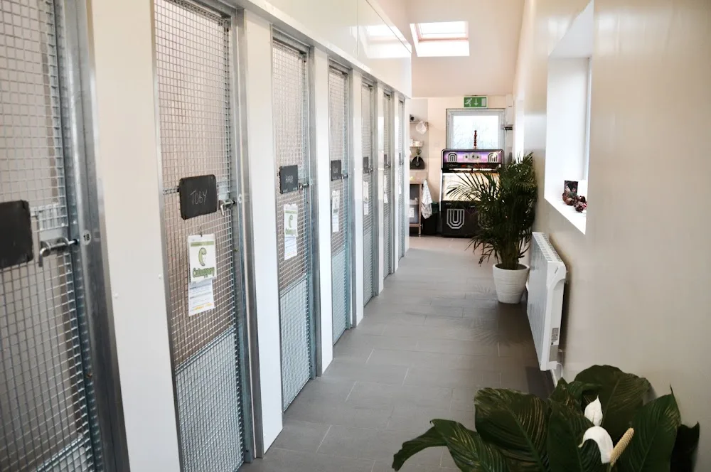 Catnappery Cattery - Caerphilly pet otel görseli 3