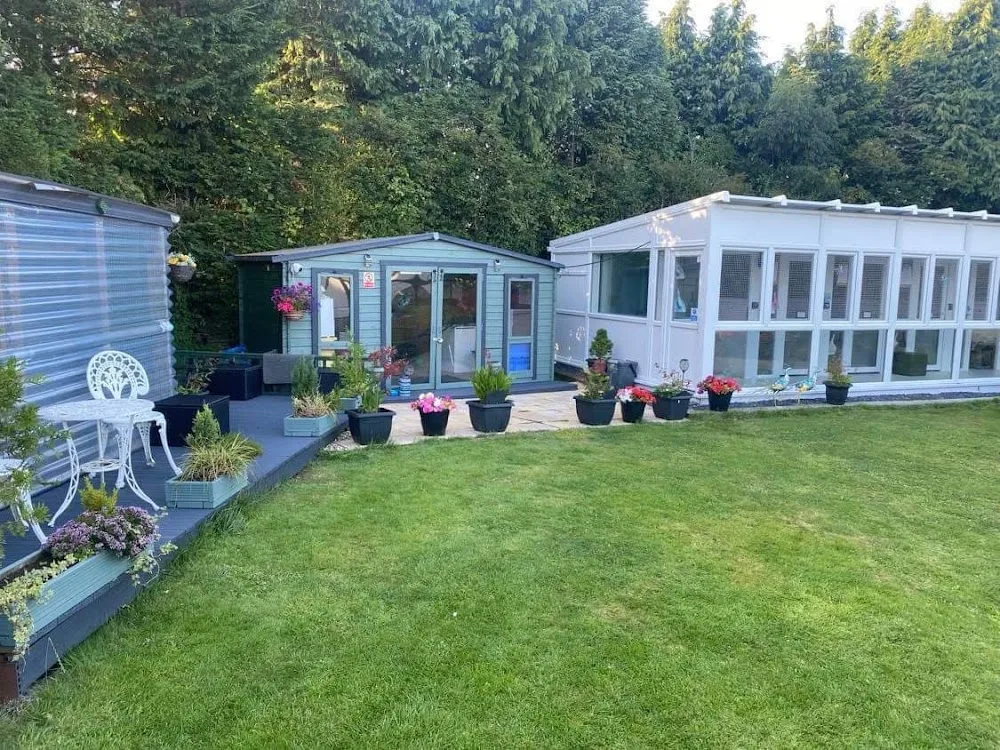 Four Paws Cattery Ltd - Caerphilly pet otel