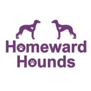 Homeward Hounds - Caerphilly pet otel görseli 3
