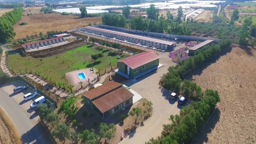 Canile Dog Hotel Park - Cagliari pet otel