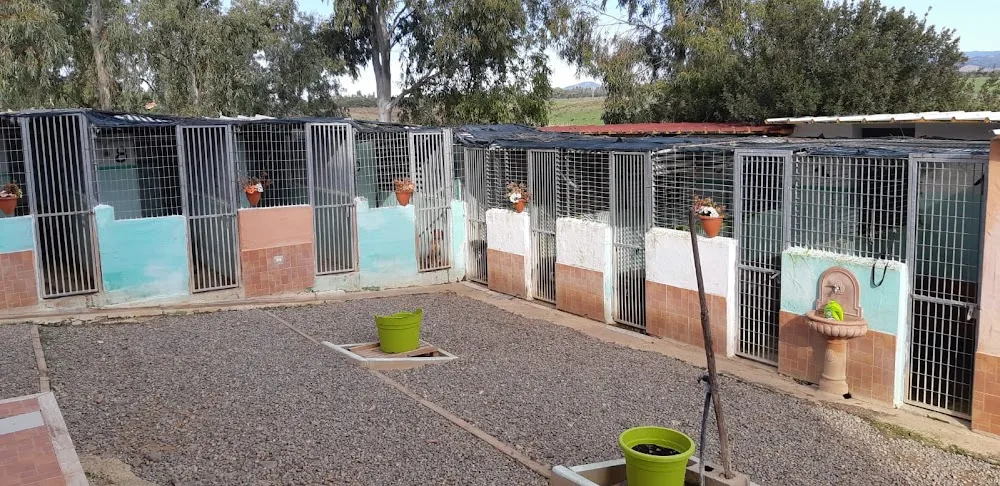 pensione Holiday Dog - Cagliari pet otel