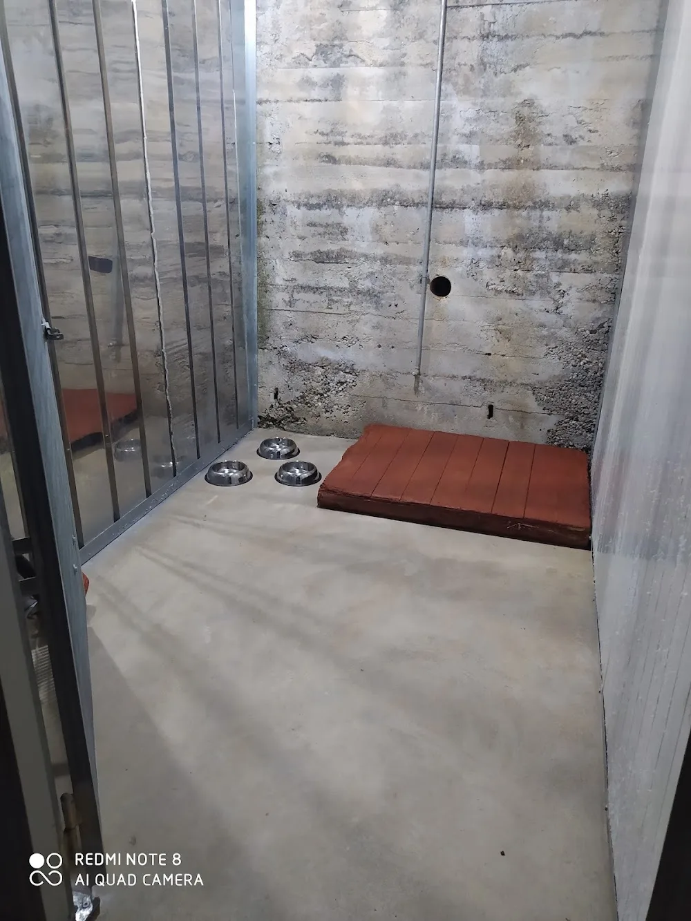 Dog House Cosenza - Calabria pet otel görseli 6