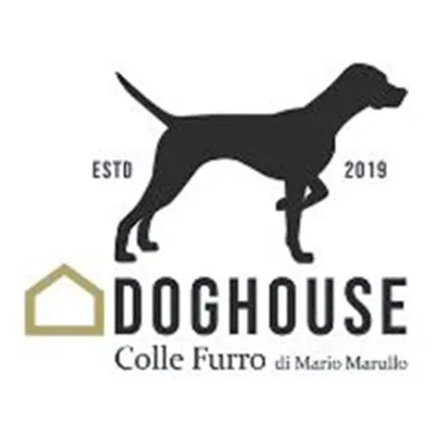 Doghouse Pensione per Cani Parco Giochi per Cani Area Cani - Calabria pet otel