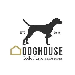 Doghouse Pensione per Cani Parco Giochi per Cani Area Cani - Calabria pet otel görseli 3
