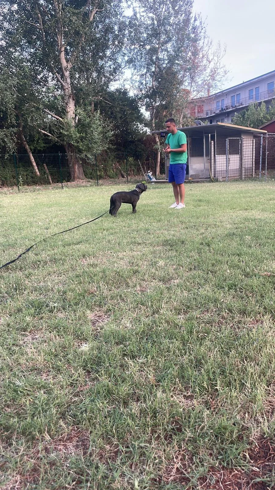 Happy Dogs Kennel - Calabria pet otel görseli 2
