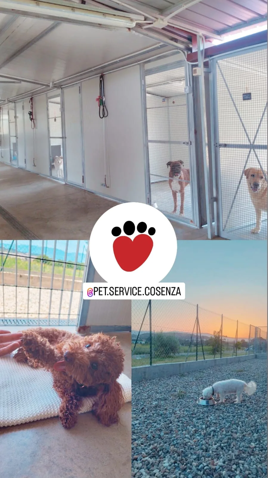 Pet Service Cosenza Pensione per cani e gatti, taxi dog, parco giochi per cani, area cani, dog - Calabria pet otel görseli 6