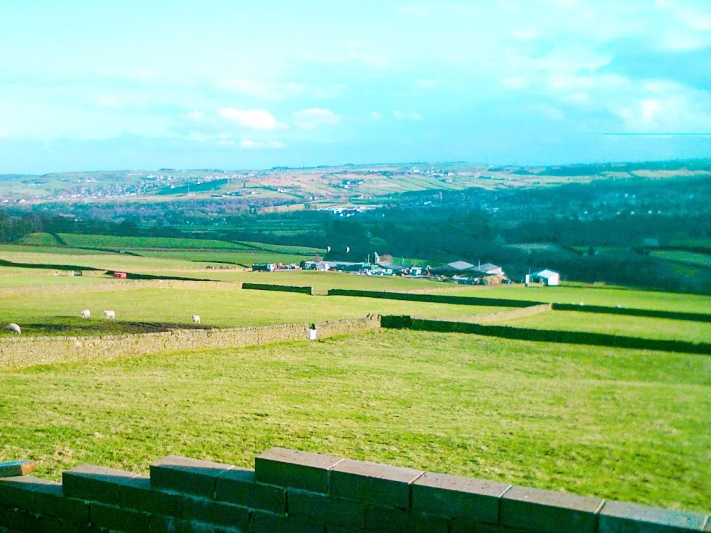 Lees Moor Cattery - Calderdale pet otel görseli 2