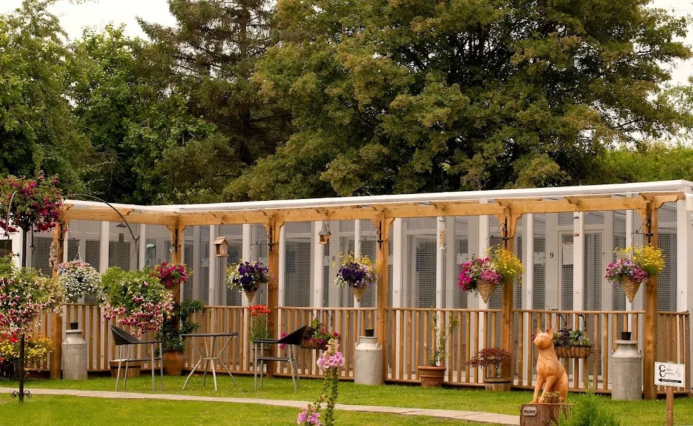 Celtic Cattery Five Star Rated - Caldicot pet otel
