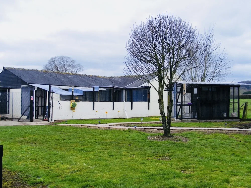 Iris's Animal Farm Cattery - Caldicot pet otel görseli 3