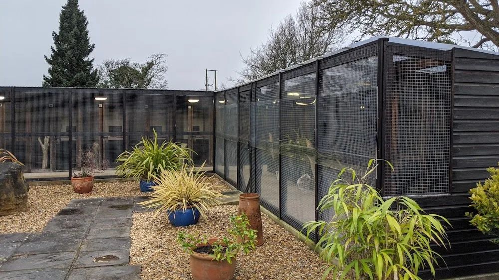 New Passage Cat Kennels - Caldicot pet otel görseli 3