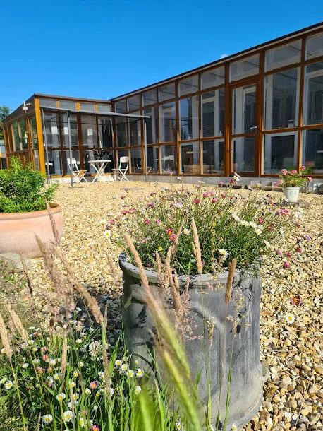 The Willow Cats Hotels - Caldicot pet otel