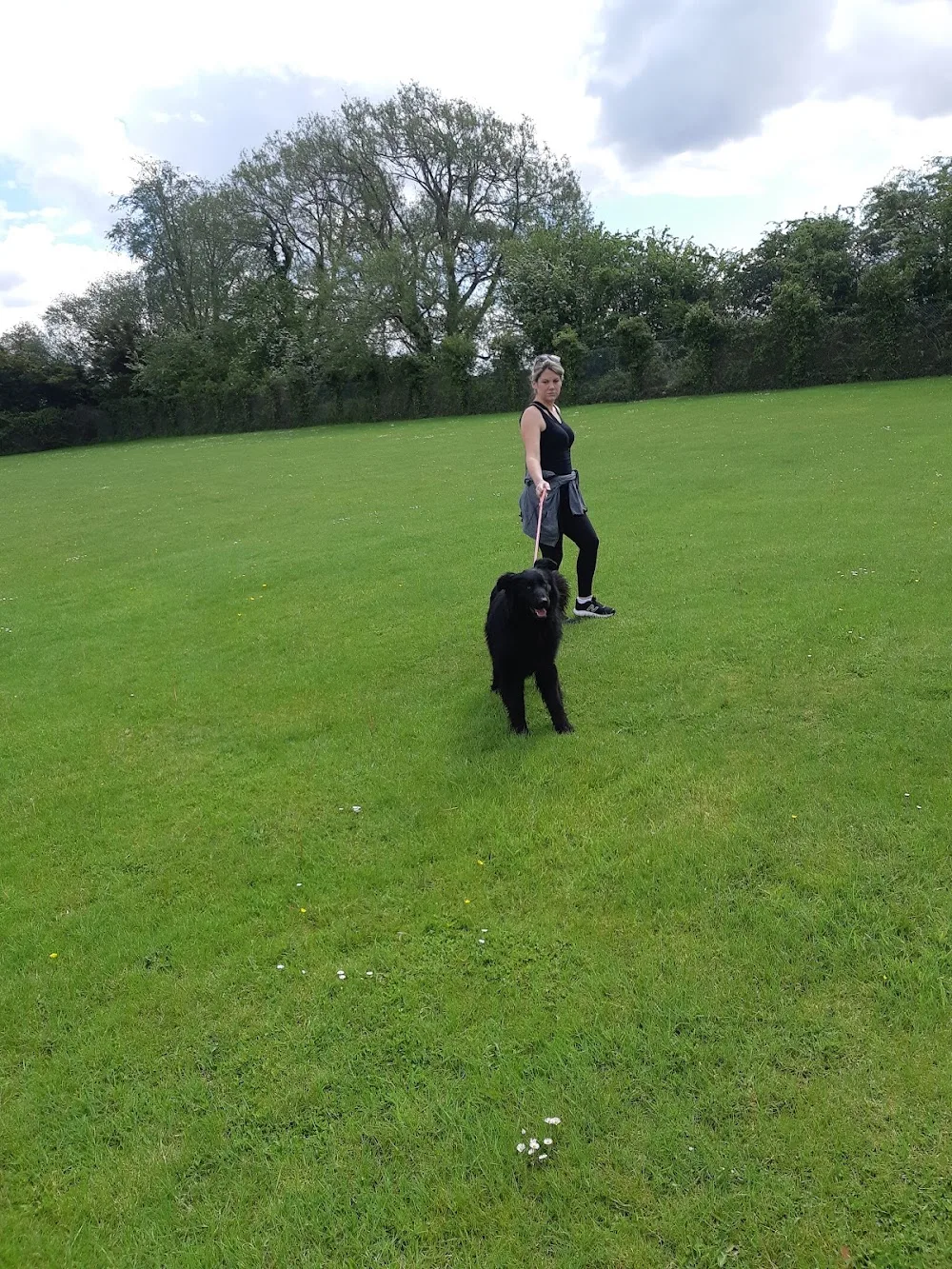 Tonew Kennels - Caldicot pet otel