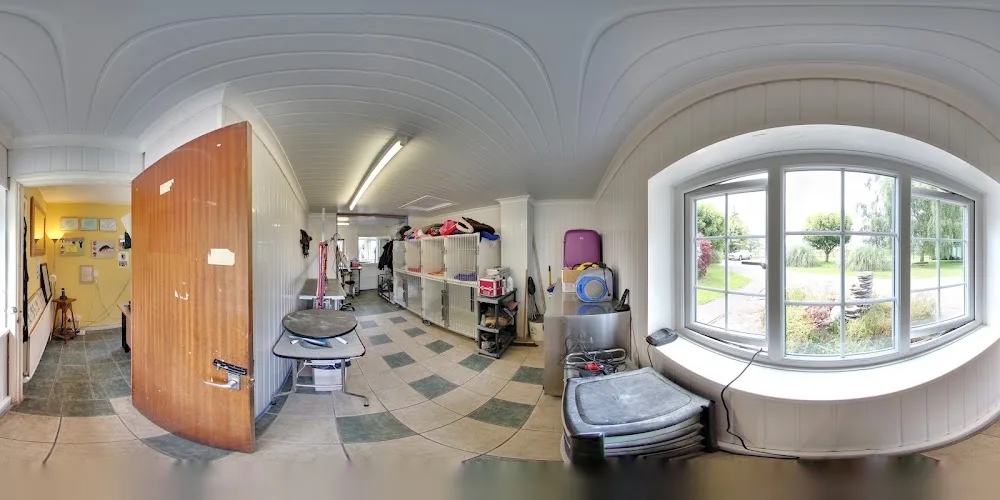 Whitewall Kennels & Cat Hotel Ltd - Caldicot pet otel görseli 3