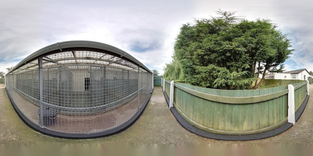 Whitewall Kennels & Cat Hotel Ltd - Caldicot pet otel görseli 4