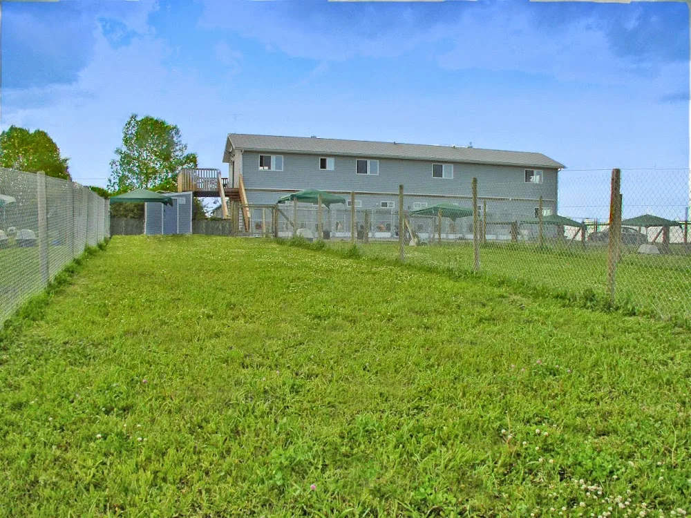 Beinnein Kennels Ltd - Calgary pet otel