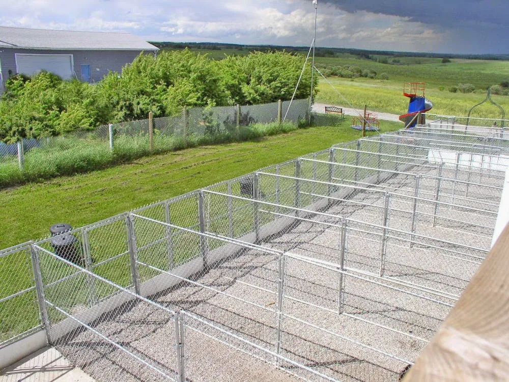 Beinnein Kennels Ltd - Calgary pet otel görseli 3