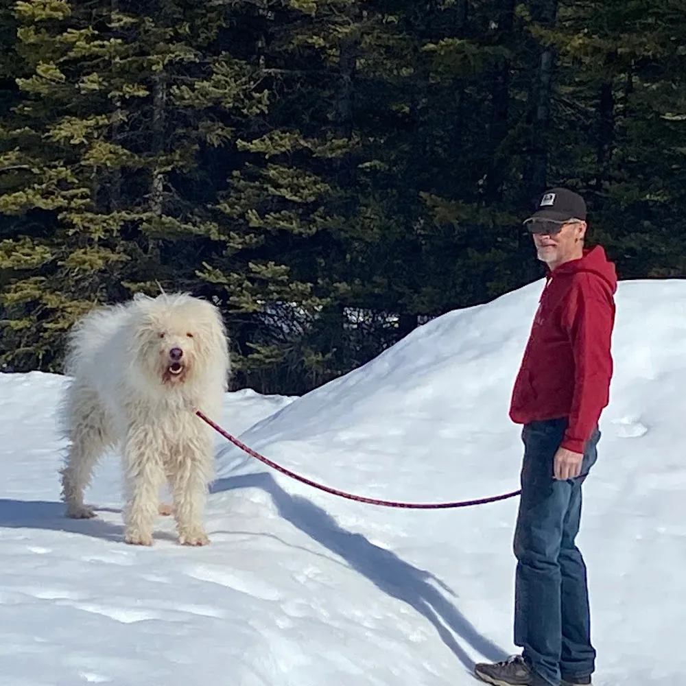 Beinnein Kennels Ltd - Calgary pet otel görseli 4