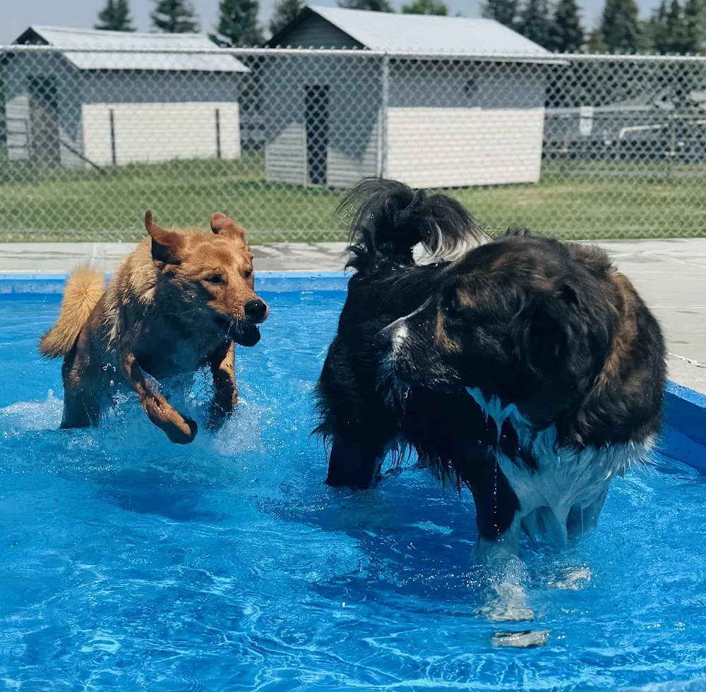 Country Club Pet Resort - Calgary pet otel