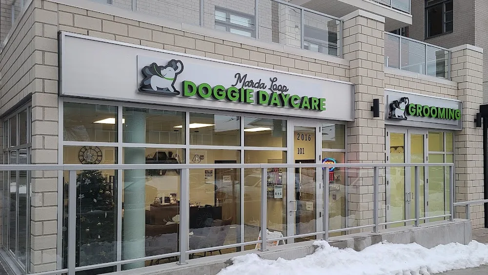 Marda Loop Doggie Daycare & Spa - Calgary pet otel