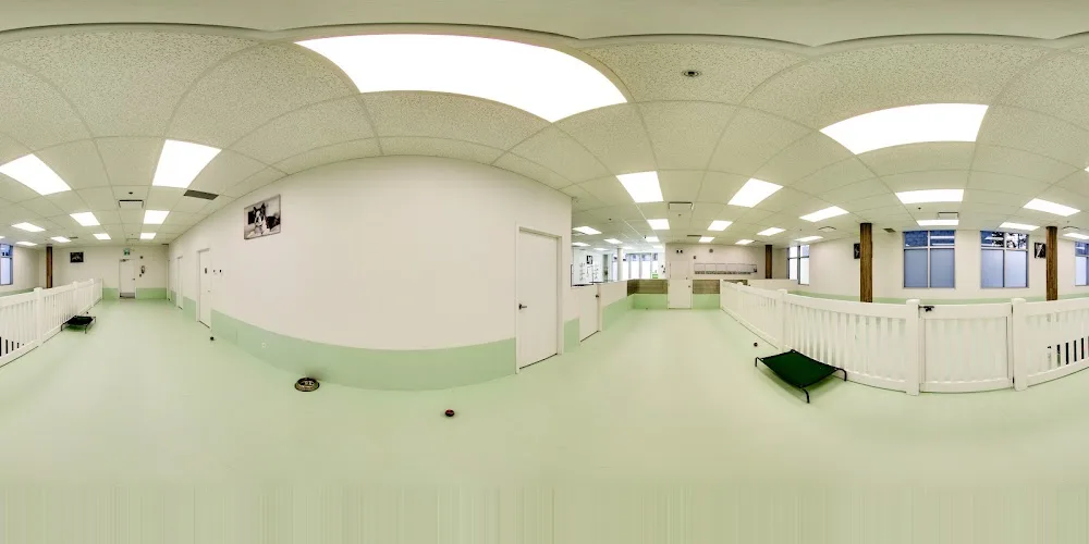 Marda Loop Doggie Daycare & Spa - Calgary pet otel görseli 3