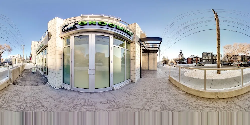 Marda Loop Doggie Daycare & Spa - Calgary pet otel görseli 4