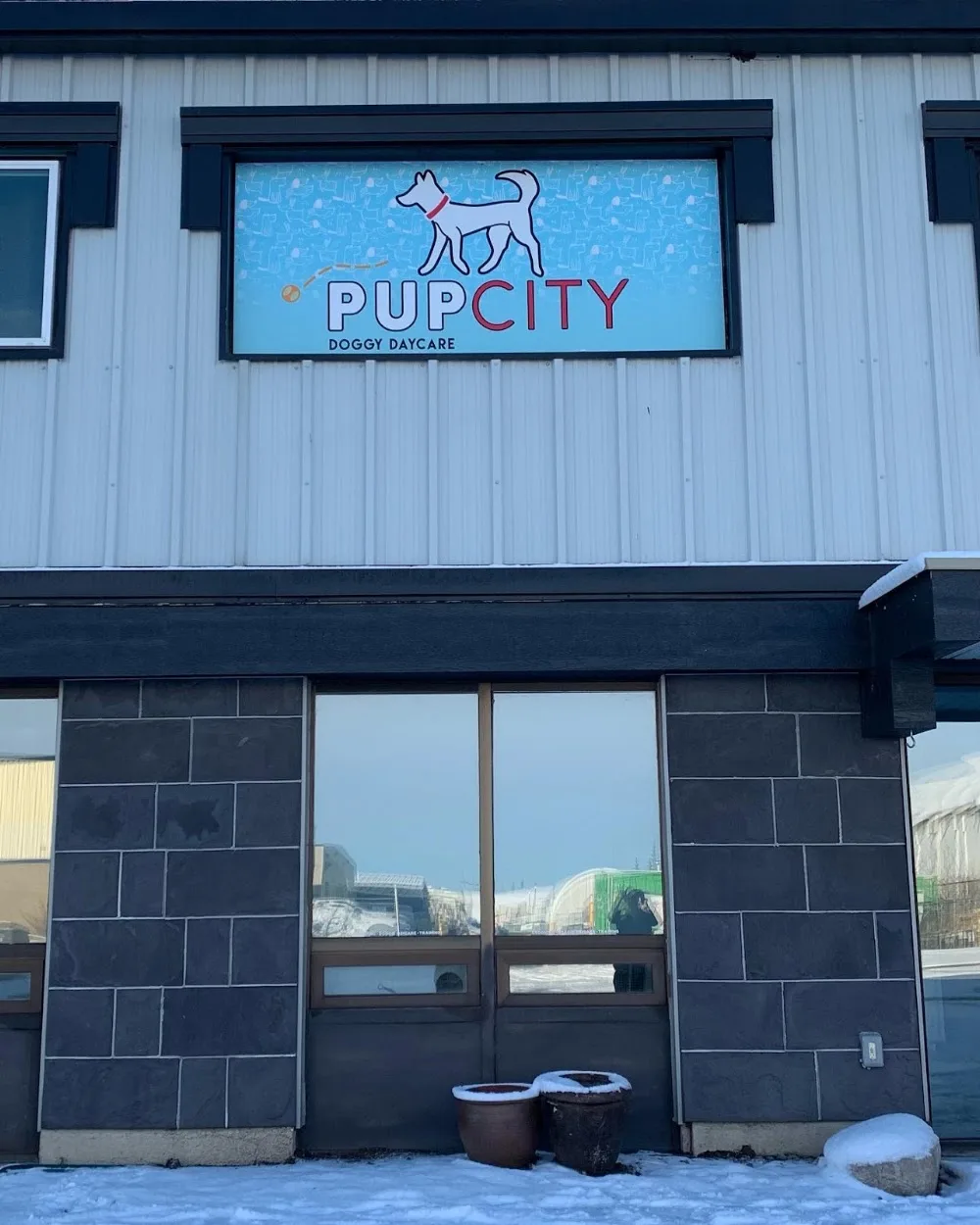 Pup City Doggy Daycare - Calgary pet otel görseli 2
