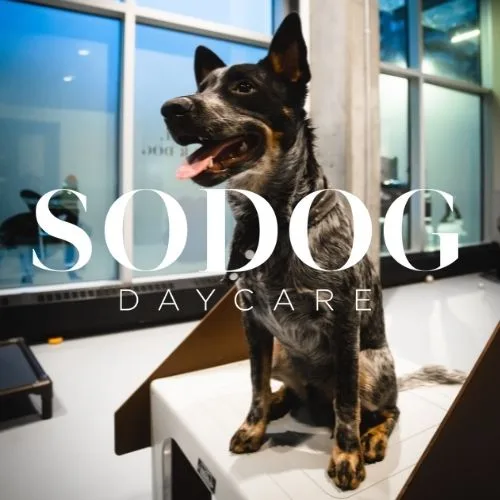 SODOG - Calgary pet otel