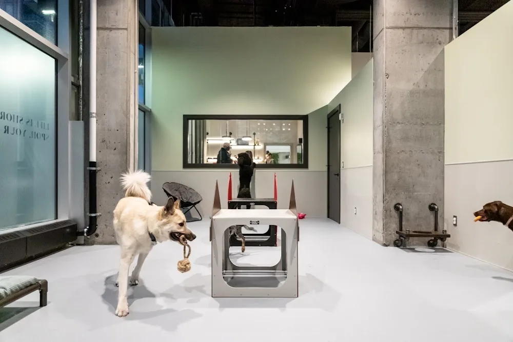 SODOG - Calgary pet otel görseli 3
