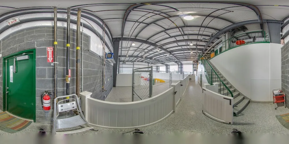 Springbank Pet Resort - Daycare - Calgary pet otel görseli 3