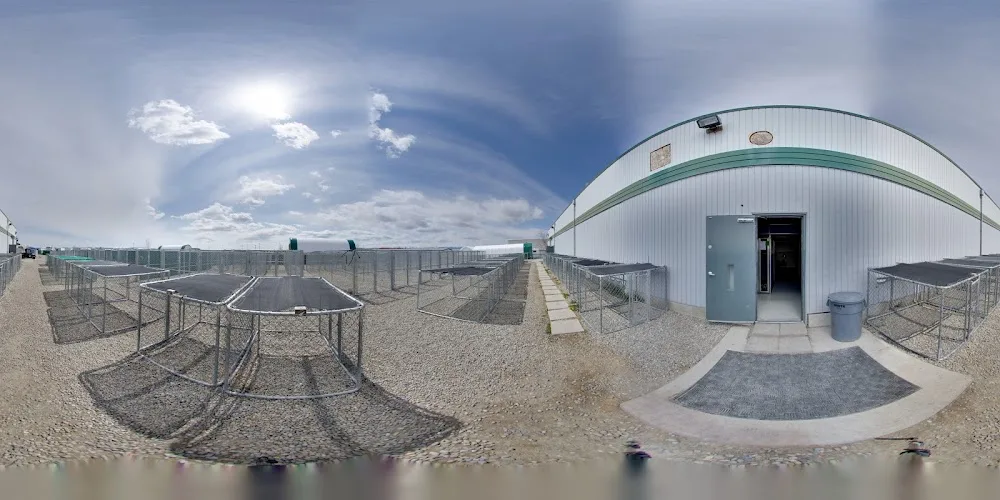 Springbank Pet Resort - Daycare - Calgary pet otel görseli 4
