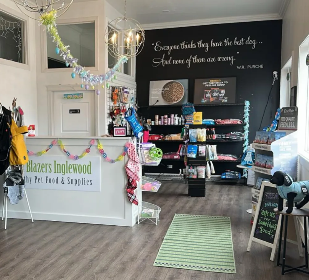 Squish and Charlie's Doggy Daycare & Boarding - Calgary pet otel görseli 4