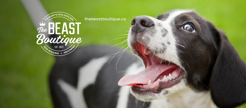 The Beast Boutique Ltd. - Calgary pet otel görseli 2