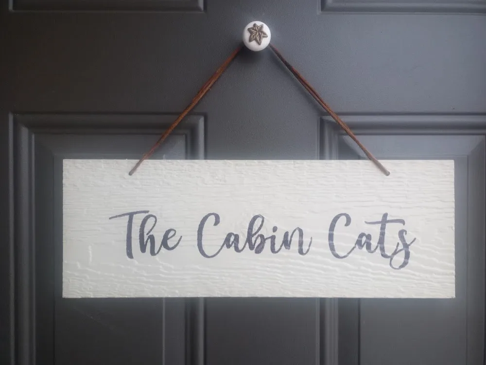 The Cabin Cats - Calgary pet otel görseli 2