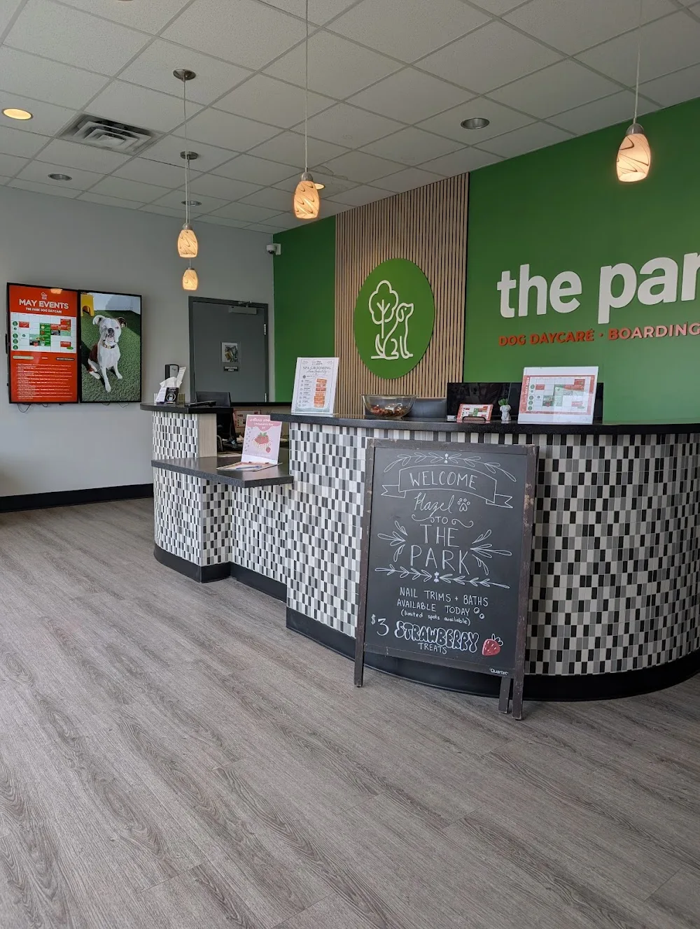 The Park Dog Daycare - Calgary pet otel görseli 2
