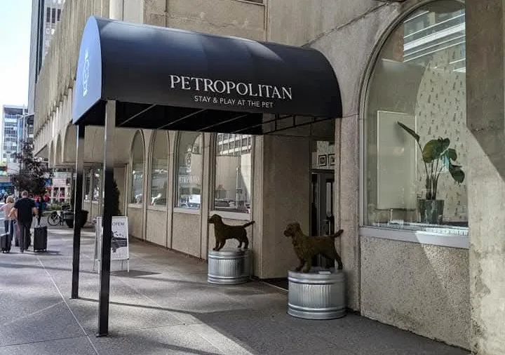 The Petropolitan - Calgary pet otel görseli 3