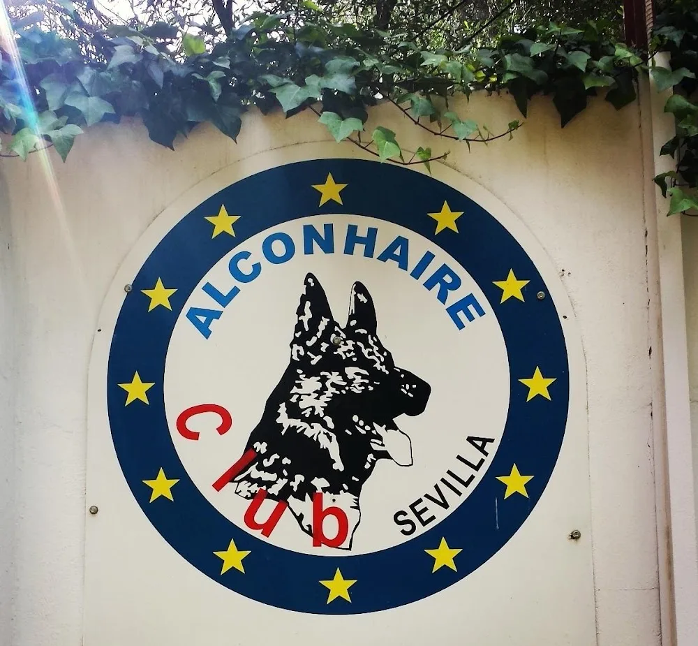 Alconhaire - Calle Fimapaire pet otel