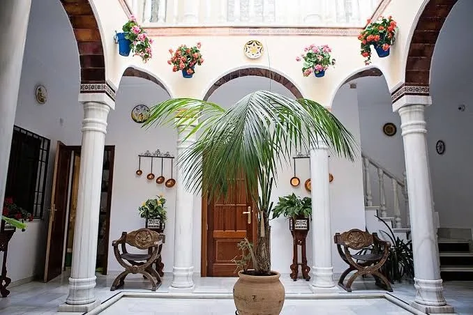 CATS HOSTEL CORDOBA | ANTIGUO PATIO SANTA MARTA - Calle Fimapaire pet otel görseli 5