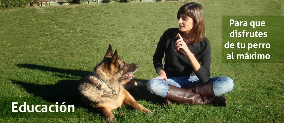 Centro Canino Gufy - Residencia Canina - Calle Fimapaire pet otel