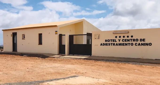 Hotel y residencia canina Fuerteventura - Calle Fimapaire pet otel görseli 3